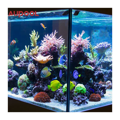 Langlebiger Wandgehängter Rohrloser Schwimmbad Akrylglasfaserfilter für einfache Installation