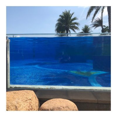 Überlegene günstige Vorteile Acryl-Schwimmbad 50-700mm klare Infinity-Pool Wand