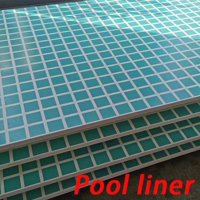 Schwimmbad mit Metallrahmen und Acrylfenster in transparenter Farbe