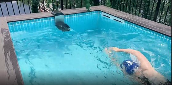 Verwandeln Sie Ihr Gebäude in ein Schwimmbad mit einem oberirdischen Pool