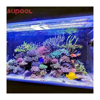 Gegossenes Acrylpanel 8M Langes Grundbecken Großes tragbares Endloses Schwimmbad