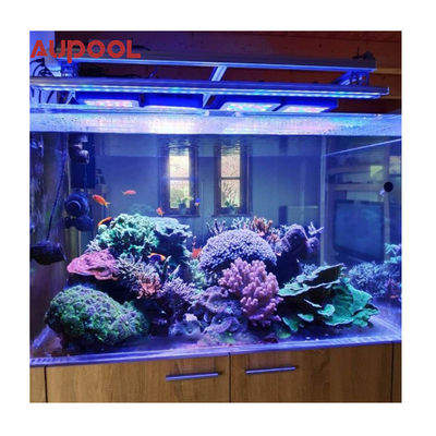 Durchsichtige Acrylwand für Pool Aquarium 100 mm Dicke Gartenlandschaft