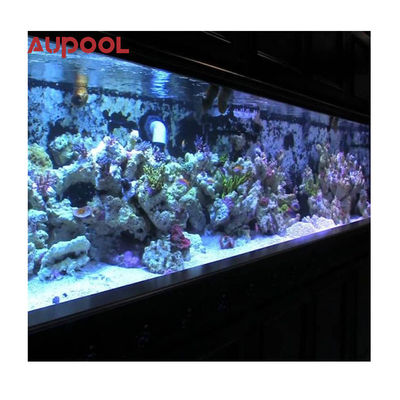 60mm 80mm klares Acryl-Schwimmbad mit Acryl-Poolwand mit kristallklarem Wasser