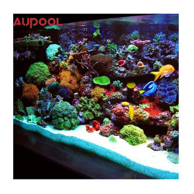 60mm 80mm klares Acryl-Schwimmbad mit Acryl-Poolwand mit kristallklarem Wasser